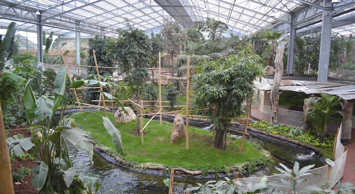 Serre Biotropica||Serre zoologique tropicale de 6 000 m² située Val-de-Reuil